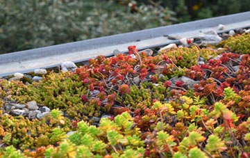 the cost of Brilley green roof installation