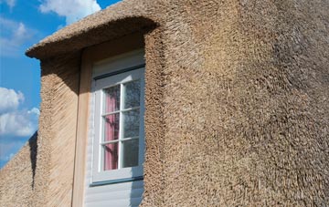 Brilley thatch roof disadvantages